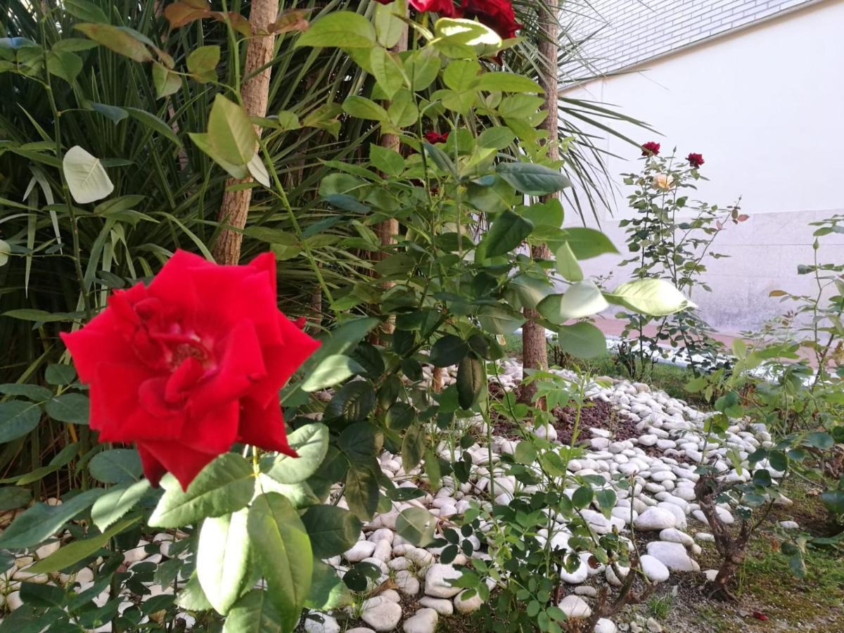 Mediterranea 拉皮内达 外观 照片